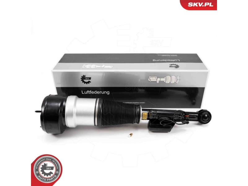 Air Suspension Strut 58SKV722