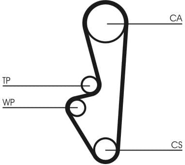 Timing Belt CT798