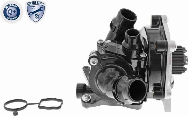 Repair Kit, water pump EXPERT KITS + V10-4919