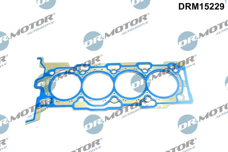Gasket, cylinder head DRM15229