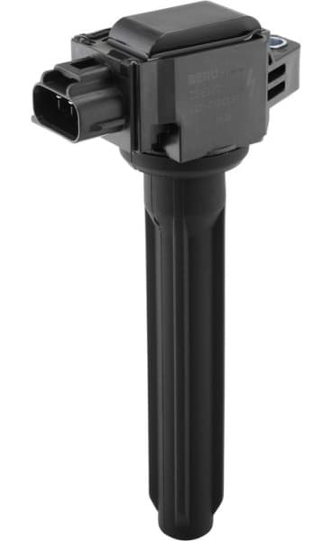 ZSE320 (BorgWarner (BERU))