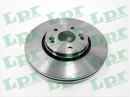 Brake discs kit front (2pcs) R1002V