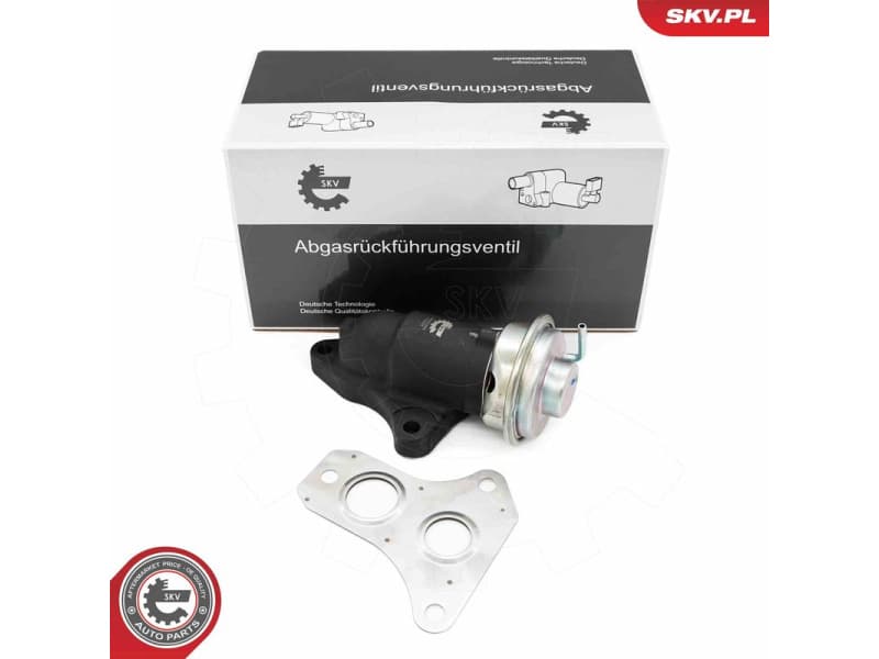 EGR Valve 14SKV263