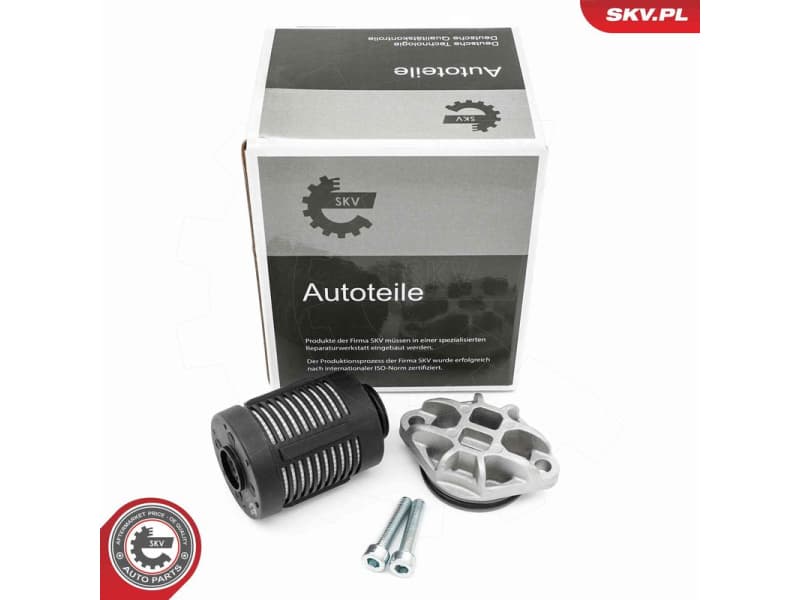 Hydraulic Filter, multi-plate clutch (all-wheel drive) 31SKV393