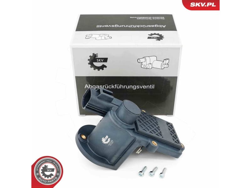 EGR Valve 14SKV286