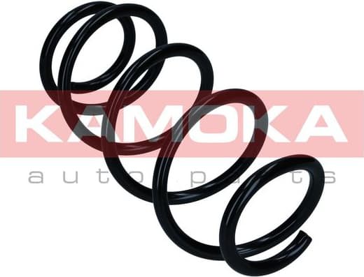 Suspension Spring 2110831