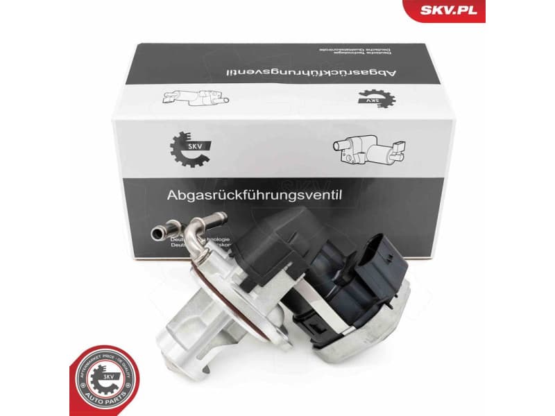 EGR Valve 14SKV255