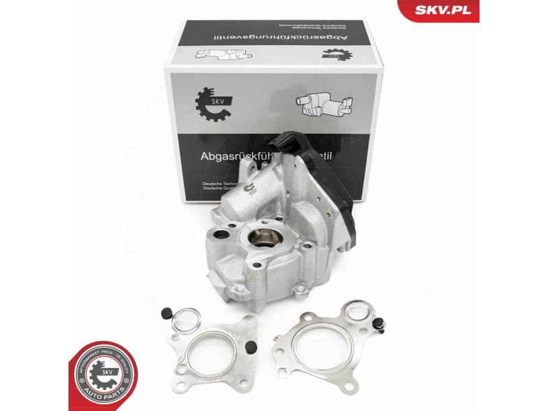 EGR Valve 14SKV259