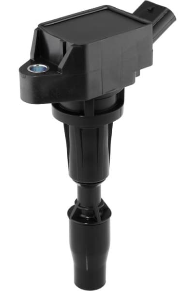 ZSE300 (BorgWarner (BERU)) - image 2