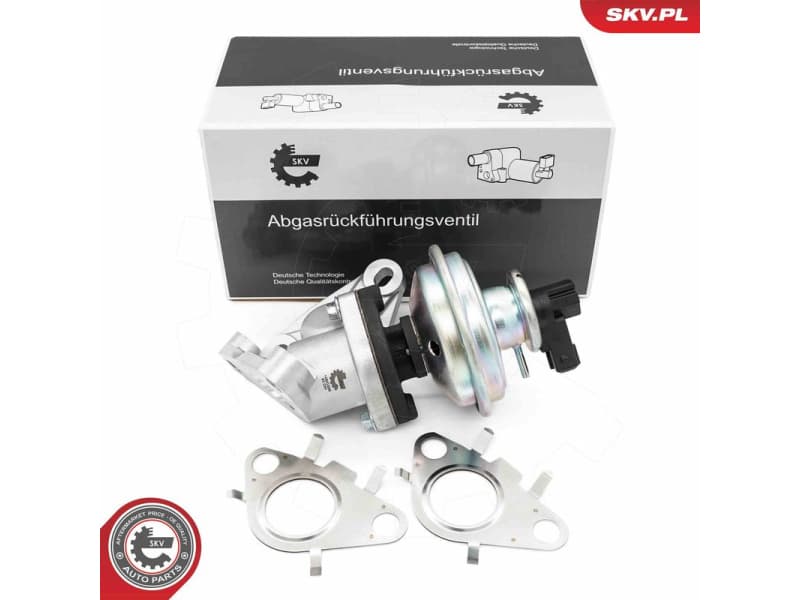 EGR Valve 14SKV285