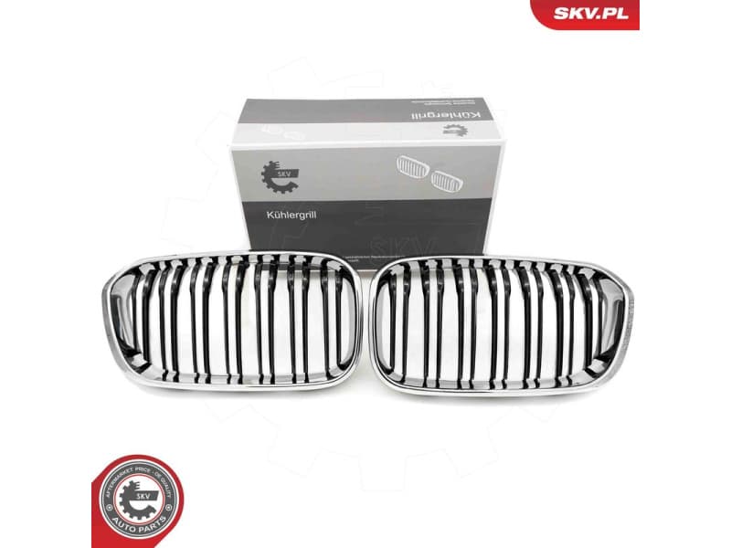 Radiator Grille 66SKV023