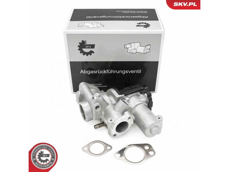 EGR Valve 14SKV253