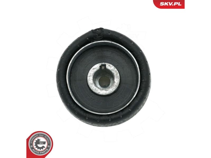 Gear Lever Knob 63SKV004 - image 4