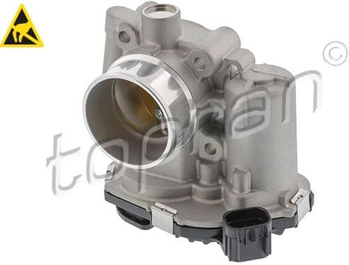 Throttle Body 209 324