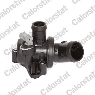 Thermostat, coolant TH6991.80J
