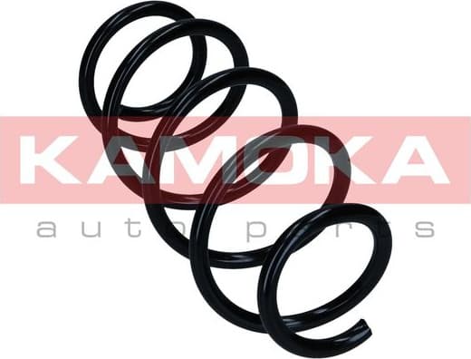 Suspension Spring 2110387