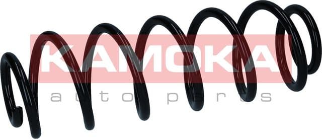 Suspension Spring 2120657 - image 4