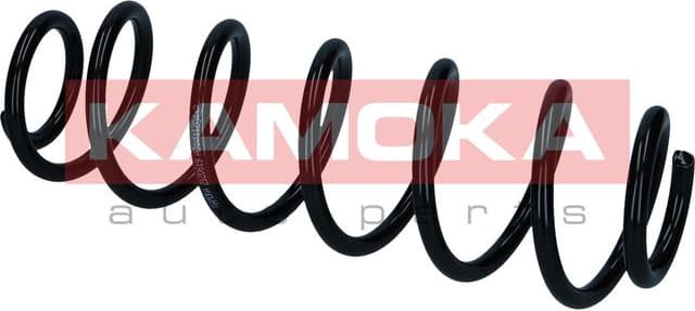 Coil spring 2120619