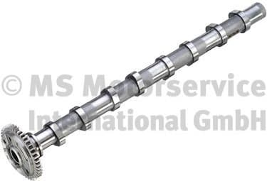 Camshaft 50007932