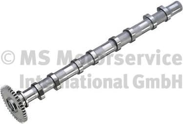 Camshaft 50007933