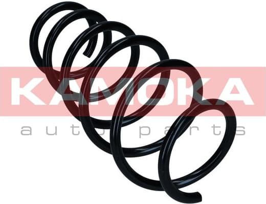 Coil spring 2110668