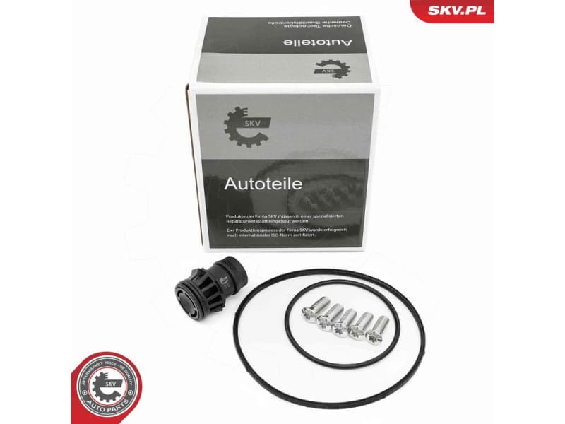 Repair Set, vacuum pump (braking system) 18SKV810