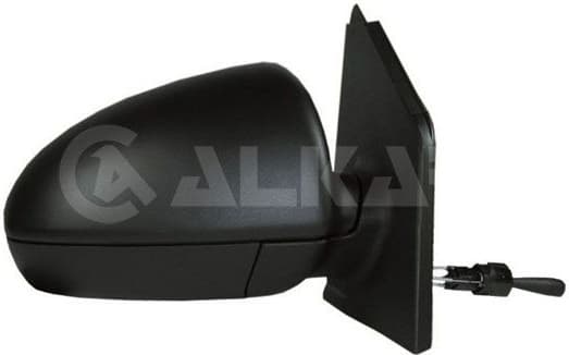 Exterior Mirror 6138009
