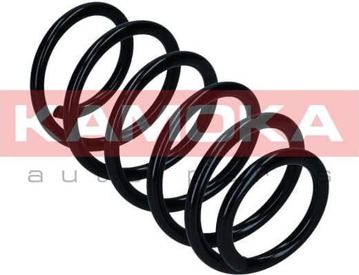 Suspension Spring 2110670