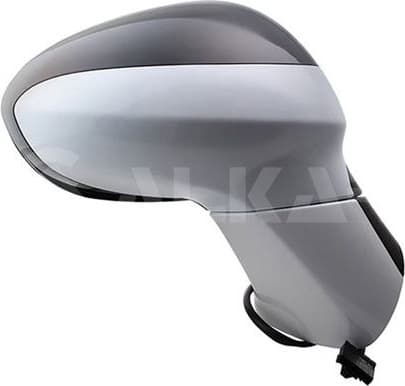 Exterior Mirror 6146443