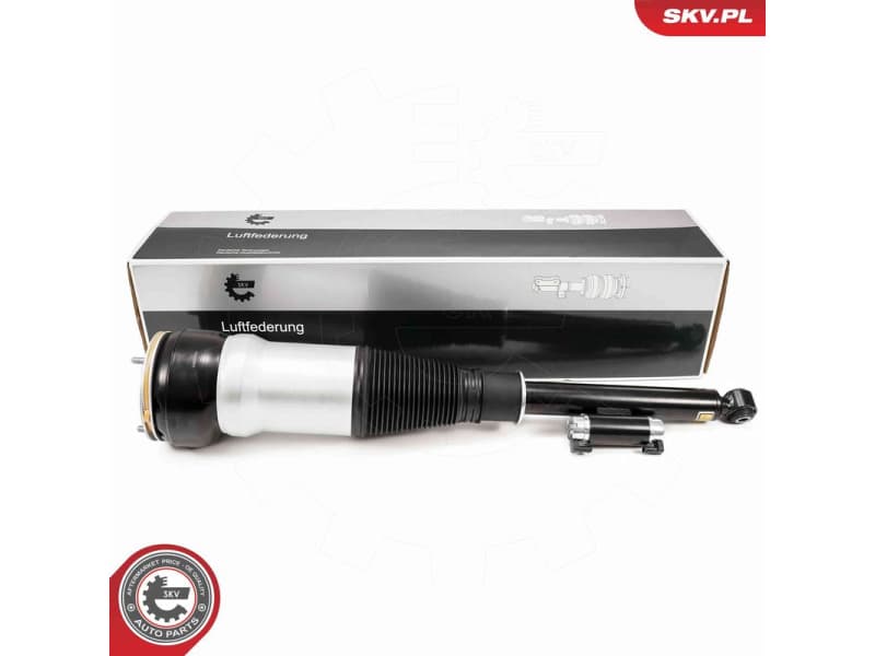 Air Suspension Strut 58SKV725