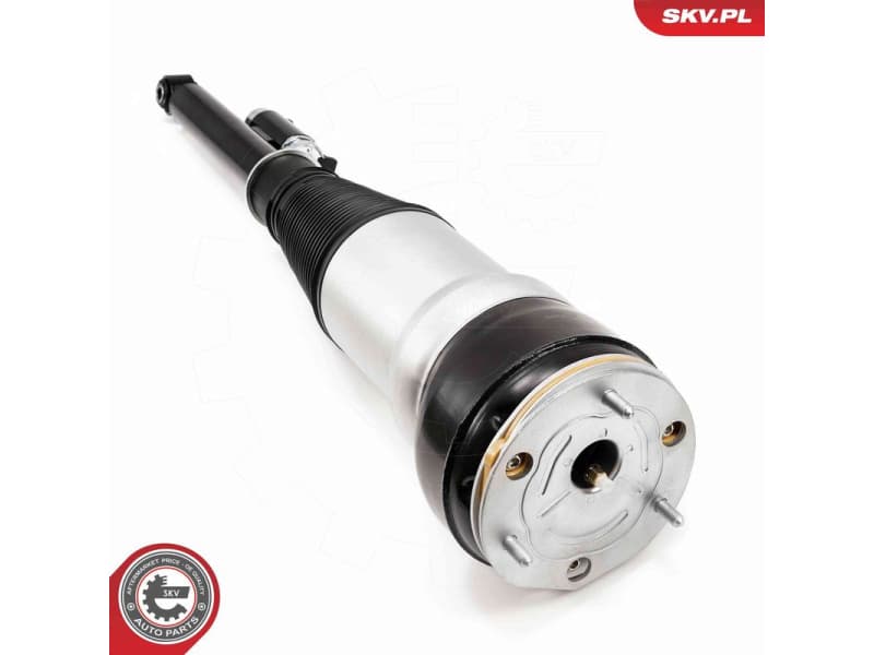 Air Suspension Strut 58SKV725 - image 4