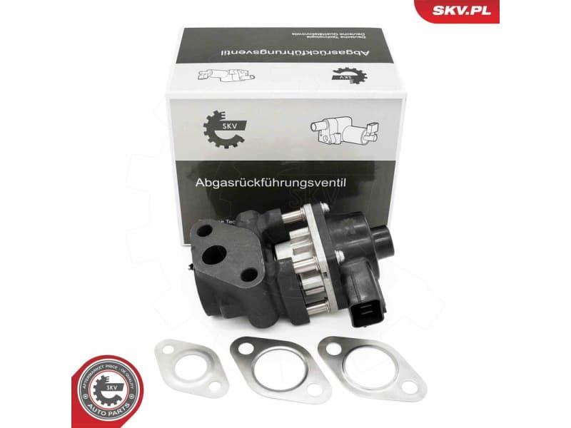 EGR Valve 14SKV260