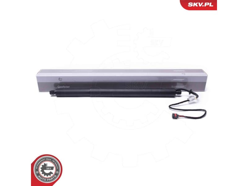 Electric Motor, tailgate 52SKV950