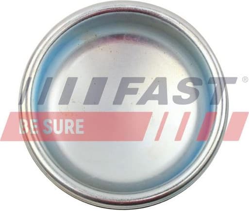 Protection Lid, wheel hub FT22401 - image 2