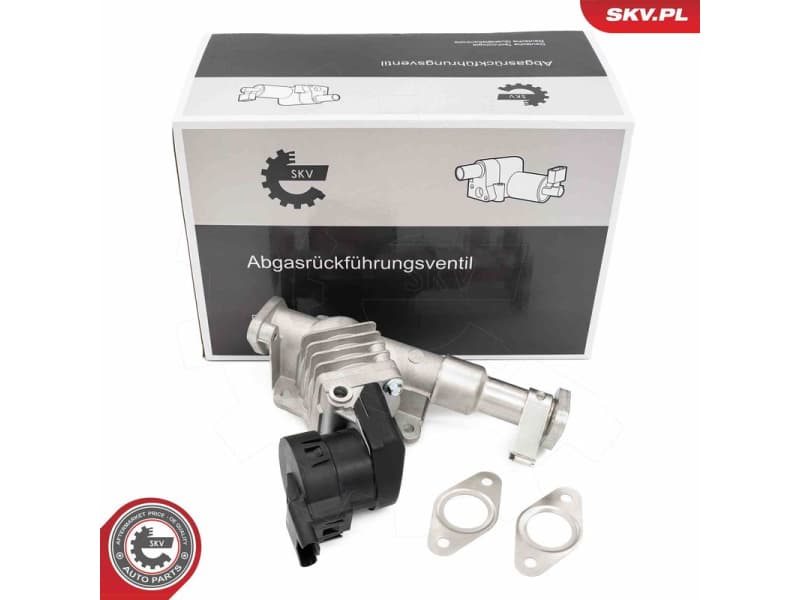 EGR Valve 14SKV287