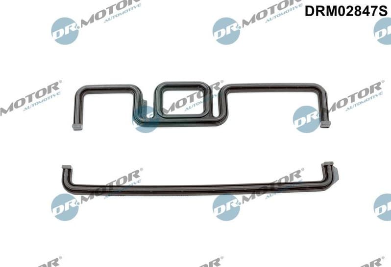 Gasket, timing case DRM02847S