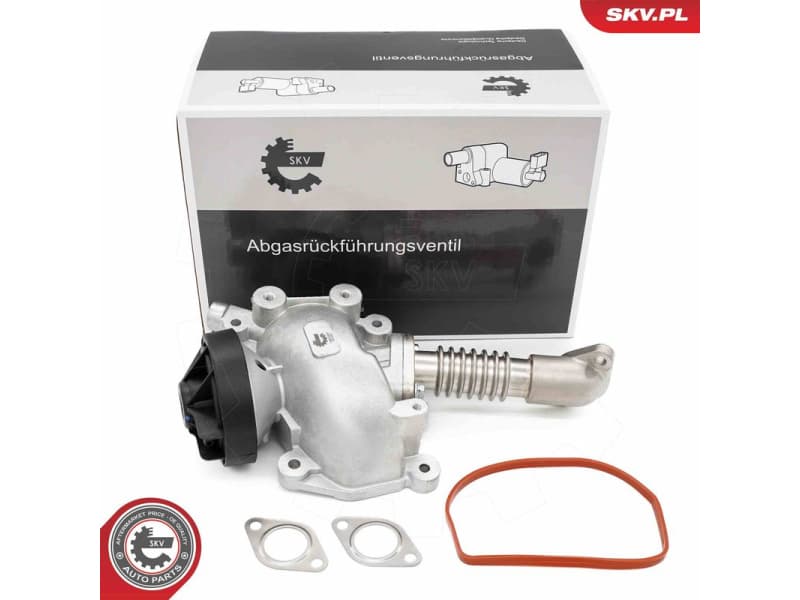 EGR Valve 14SKV257