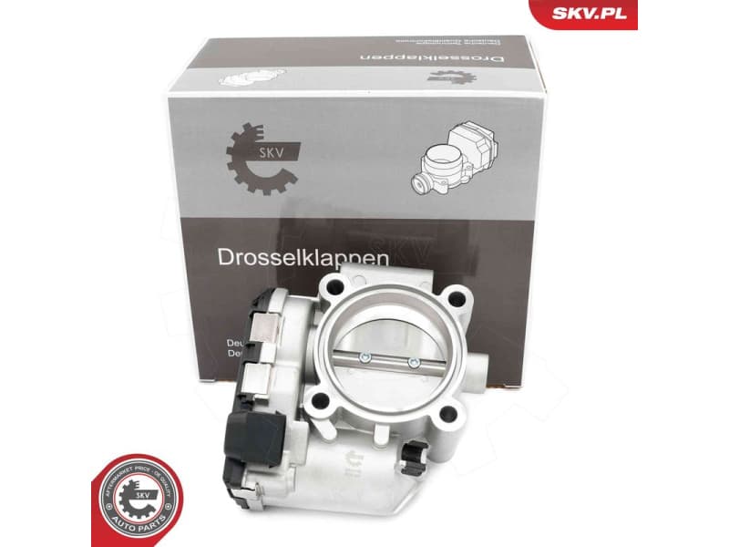 Throttle Body 12SKV141