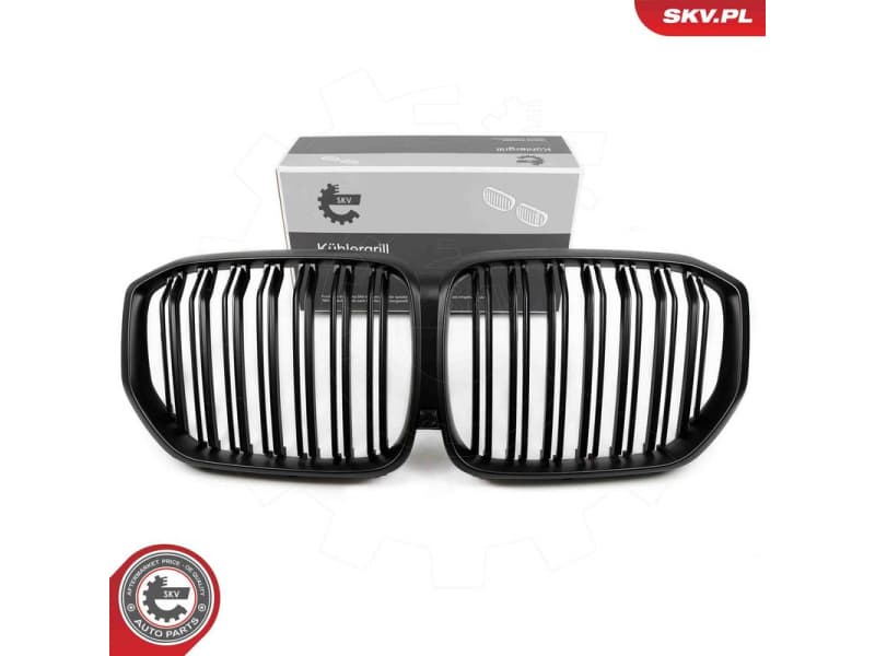 Radiator Grille 66SKV304