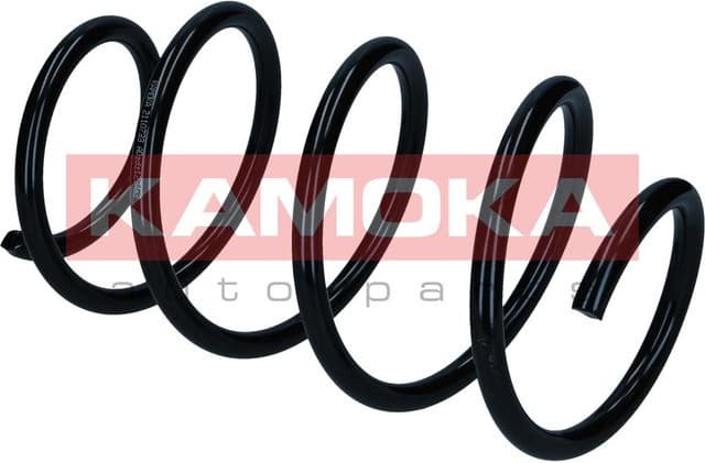 Suspension Spring 2110733