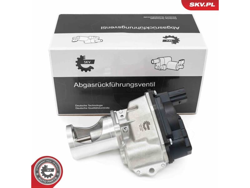 EGR Valve 14SKV274