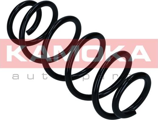 Suspension Spring 2120554