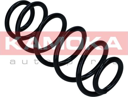 Suspension Spring 2120554 - image 3