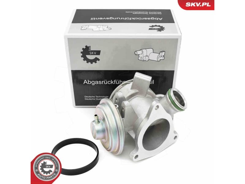 EGR Valve 14SKV242