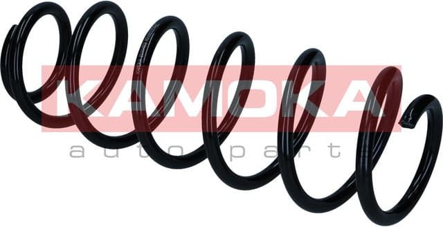 Suspension Spring 2110453