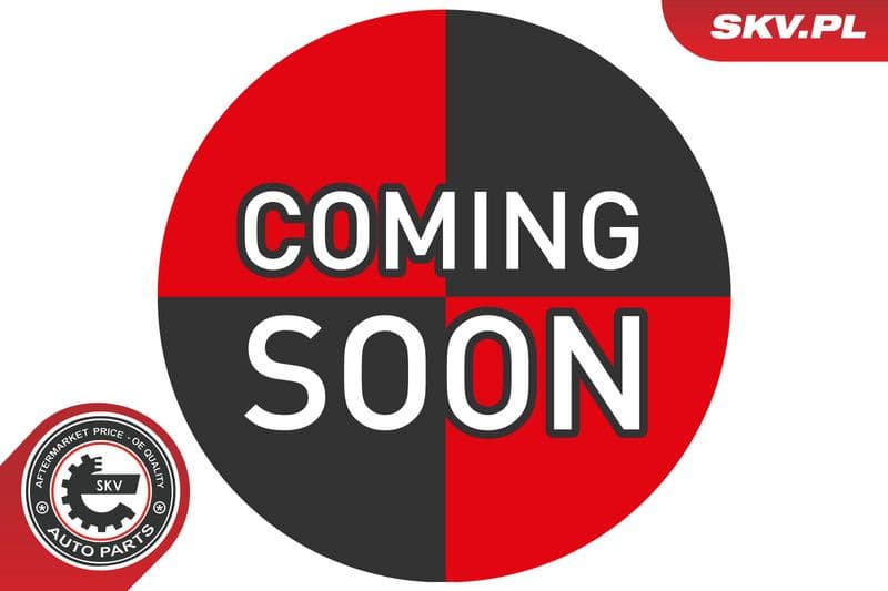 Wheel Sensor, tyre-pressure monitoring system 70SKV037