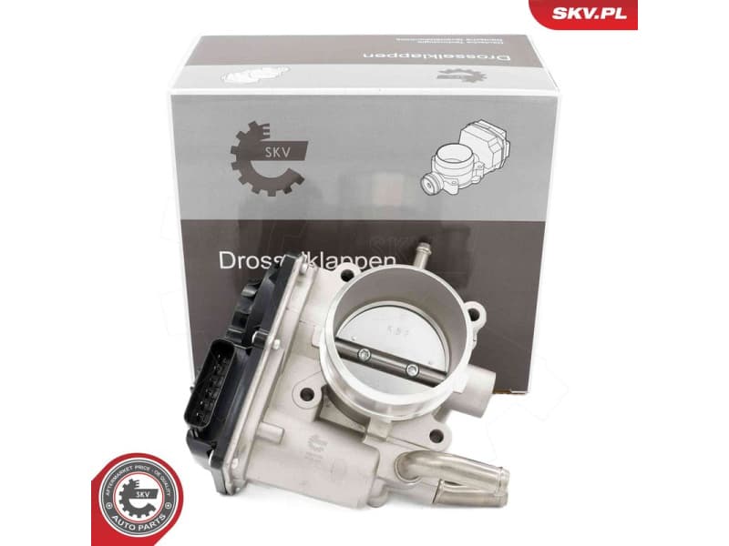 Throttle Body 12SKV134