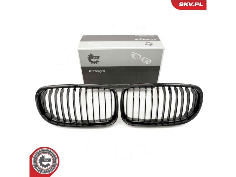 Radiator Grille 66SKV095