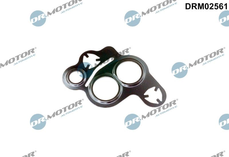 Gasket, EGR valve DRM02561