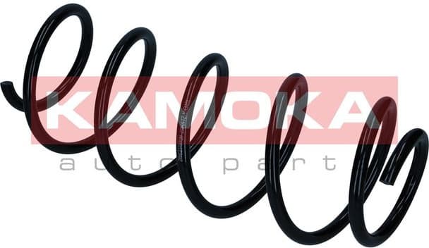 Suspension Spring 2110457